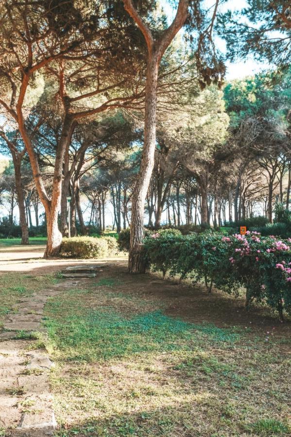 Casa Di Gio Βίλα Pula Εξωτερικό φωτογραφία